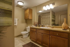 2 Bedroom Apartments For Rent in San Antonio, TX - Model Bathroom (2)